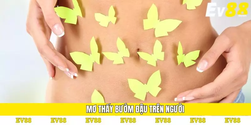 Mơ Thấy Bướm Đánh Số Gì? Giải Mã Giấc Mơ Chi Tiết Nhất 3 Mơ thấy bướm đậu trên người